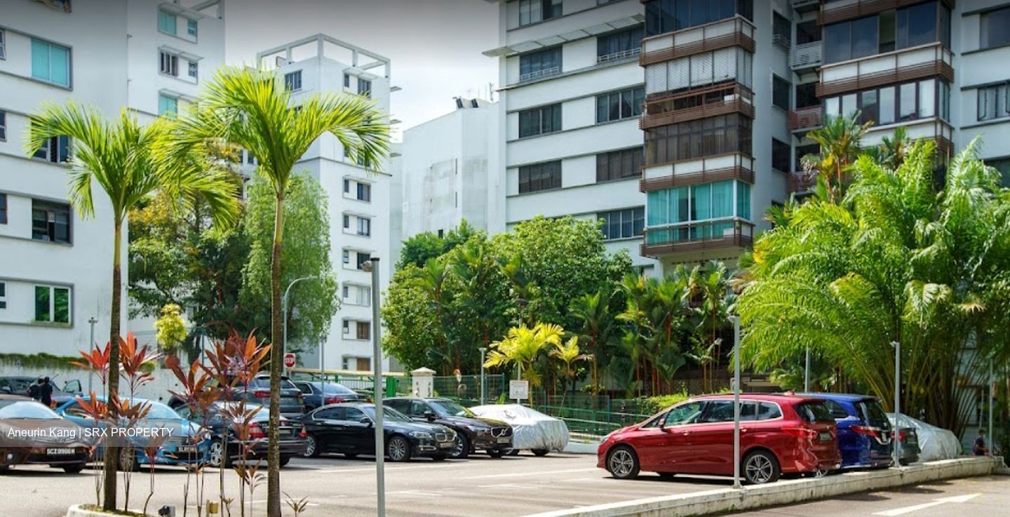 Botanic Gardens View (D10), Apartment For Rent 99896141